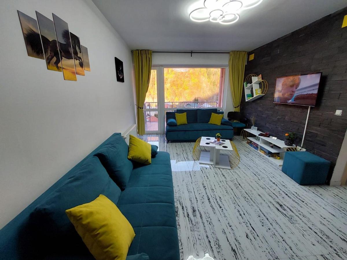 Apartament Erika Sinaia Exterior photo